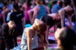 Power of Yoga, Power of Yoga, historic national mall to host first international day of yoga, National mall