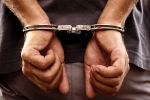 smuggling, Sandhu, 61 year old indian origin man jailed for 5 years for smuggling foreigners including indians into america, Lawson