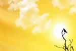 Al Ain, Dubai news headline, friday is the longest day of the year, Middle east news