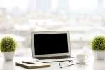 balanced environment, plants, a plant in your office can help in preventing sick days says experts, Work place