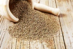 Ajwain latest, Ajwain advantages, benefits of adding carom seeds to your diet, Indian cuisine