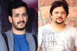 Akhil Akkineni and Surendar Reddy, Akhil Akkineni announcement, akhil akkineni and surendar reddy joins hands, Coronavirus lockdown