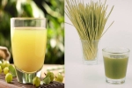 Amla Juice Vs Wheatgrass Juice, Amla Juice Vs Wheatgrass Juice liver, amla juice vs wheatgrass juice for fatty liver, Amla juice