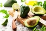 Avocado latest, Avocado latest, add avocado in your diet to lose weight, Delicious meal