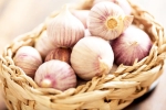 Chinese garlic breaking, Chinese garlic updates, how to identify banned chinese garlic in the indian market, Gonda