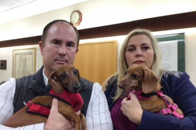 Bay Area owners of slain dachshund file lawsuit against PetSmart!