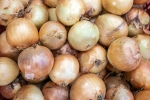Black Fungus on Onions health experts, Black Fungus on Onions advise, black fungus on onions sparks discussion, Advice