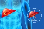 Fatty Liver Disease News updates, Fatty Liver Disease News body, body organs that can be affected by fatty liver disease, Fatty liver disease news