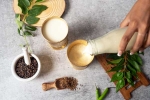 Buttermilk for Weightloss before bed, Buttermilk for Weightloss news, buttermilk before bed will help in weight loss, Healthy