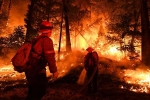 California Wildfires Damage, California, california wildfires damage in 2018 worth over 2 6bn, Large and wild