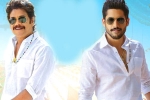 Bangarraju budget, Krithi Shetty, ten days worldwide collections of bangarraju, Kalyan krishna kurasala