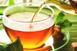 green tea, chamomile tea, is consuming tea linked to immunity, Food options