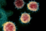 Coronavirus new updates, Coronavirus India, face covid 26 and covid 32 warns experts, Coronavirus origin
