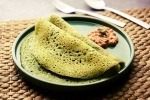 Curry Leaves Dosa visuals, Curry Leaves Dosa breaking news, recipe curry leaves dosa, Masala