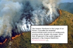 amazon, amazon rainforest map, in pictures devastating fires in amazon rainforest visible from space, Npt
