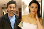 Triptii Dimri, Triptii Dimri, dhanush to romance animal actress triptii dimri, Majnu