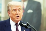 Sergio Gor breaking, Donald Trump, donald trump names close political aide as india ambassador, Wedding