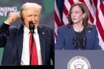 Donald Trump Vs Kamala Harris war, Donald Trump Vs Kamala Harris news, donald trump calls kamala harris is married to a jewish man, Gunman