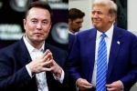 Elon Musk and Donald Trump breaking, Elon Musk and Donald Trump deal, elon musk s big bet on donald trump, Crypto