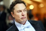 India, Elon Musk India visit updates, elon musk s india visit delayed, India