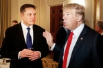 Elon Musk news, Elon Musk, elon musk donates for donald trump s campaign, Crypto