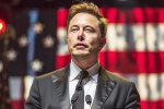 US elections, Donald Trump Elon Musk relation, is elon musk in the trump cabinet, Elon musk and donald trump