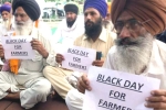 farmers, farmers, why farmers and politicians are against modi s farm laws, Farm bills
