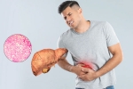 Fatty Liver symptoms, Fatty Liver medication, fatty liver can be reversed in just one month, Lifestyle