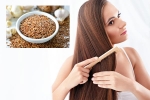 Flaxseeds breaking updates, Flaxseeds for hair, how flaxseeds can help for a long and healthy hair, Dandruff