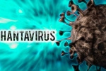 Hantavirus news, Hantavirus breaking, hantavirus has 38 strains and 1 spread to humans, South africa