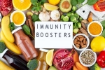 Immunity Tips for body, Immunity Tips breaking, interesting science backed tips to feel your best, Cookies