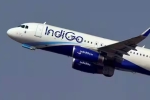 IndiGo cancels flights to Central Asian cities till Feb 11th