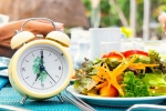 Intermittent Fasting, Intermittent Fasting experts, how to take intermittent fasting, Nutritious meal Intermittent Fasting, Intermittent Fasting experts, how to take intermittent fasting, Nutritious meal