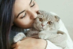 Cat Owner, International Cat Day, international cat day reasons why being a cat owner is good for health, Pet cats