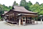 Japan Viral Mikami Shrine breaking news, Japan Viral Mikami Shrine videos, why are travellers flocking to japan s viral mikami shrine, Styling