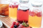 Kombucha and Fermented Foods benefits, Kombucha and Fermented Foods breaking, health benefits of kombucha and fermented foods, Kim
