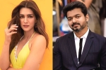 Vijay, Kriti Sanon news, kriti sanon to romance vijay in his next, 1 nenokkadine