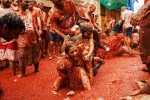 la tomatina 2018, tomatina festival 2019, la tomatina 2019 thousands hurl fruit at fun food festival, La tomatina