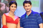 Pooja Hegde new movie, Pooja Hegde, mahesh babu all set to romance pooja hegde again, Maharshi