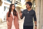 Manmadhudu 2 movie review and rating, Manmadhudu 2 movie review, manmadhudu 2 movie review rating story cast and crew, Manmadhudu 2