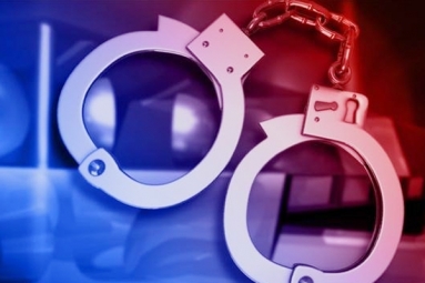 NRI arrested for theft in Bihar NRI arrested for theft in Bihar