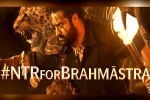 Brahmastra budget, Brahmastra, ntr turns chief guest for brahmastra event, Fox star