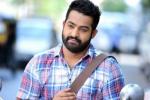 NTR new movie, NTR new movie, official ntr s next film locked, Sardar gabbar singh