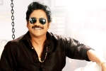 Annapurna Studios, Bangarraju, nag s bangarraju to have a special dancing number, Heaven