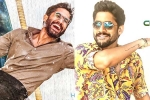 Naga Chaitanya upcoming movies, Naga Chaitanya new projects, naga chaitanya gearing up with two films, Sushanth