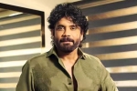 Nagarjuna Personal Rights updates, Nagarjuna Personal Rights updates, delhi high on nagarjuna s personal rights, Shiva Nagarjuna Personal Rights updates, Nagarjuna Personal Rights updates, delhi high on nagarjuna s personal rights, Shiva