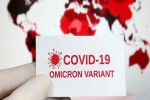Omicron USA latest updates, Omicron USA research, omicron is no worse than other variants says us scientists, Anthony fauci Omicron USA latest updates, Omicron USA research, omicron is no worse than other variants says us scientists, Anthony fauci