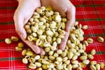 Pistachios news, Pistachios advantages, pistachios are a perfect protein snack, Plea