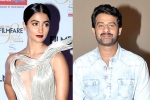 Radha Krishna Kumar, Mahesh Babu, pooja hegde all set to romance prabhas, Duvvada jagannadham