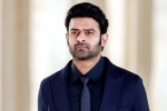 Prabhas, Prabhas news, new updates of prabhas and maruthi film, Boman